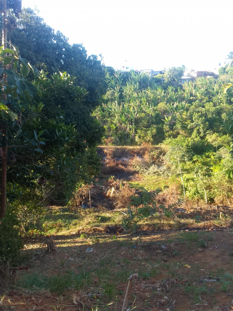 Terreno, Venda, Mussurunga, 800 metros, Salvador, Excelente Oportunidade!