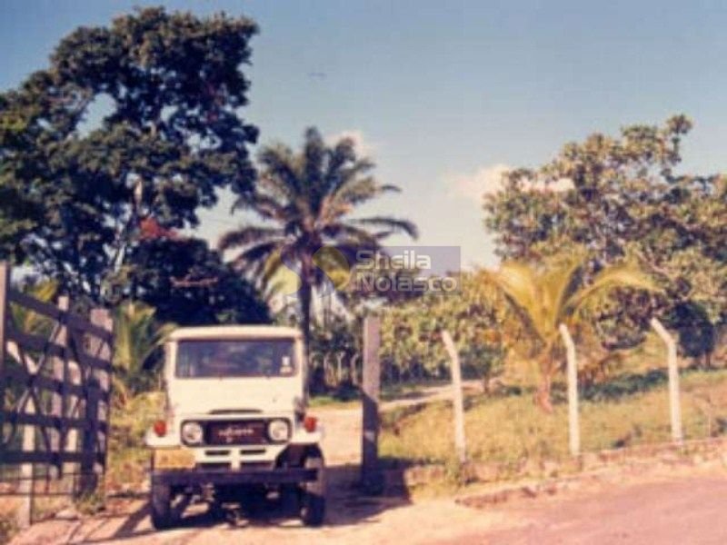 Fazenda na Ilha!