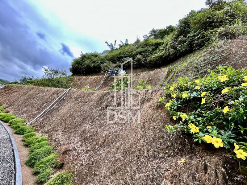 Casa de Alto Padrão, com 3 quartos (1 suíte +  2 dormitórios),  terreno com 3.200m² a venda bairro Águas Claras.