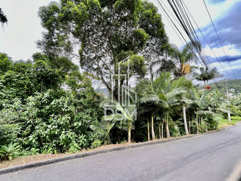 Casa de Alto Padrão, com 3 quartos (1 suíte +  2 dormitórios),  terreno com 3.200m² a venda bairro Águas Claras.