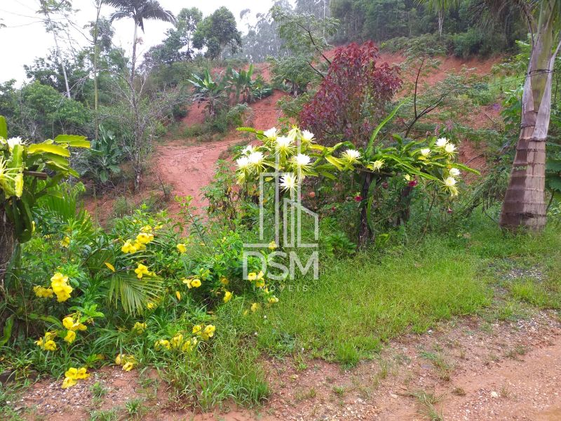 Chácara (sitio) 55.450m² a venda Cedro Grande