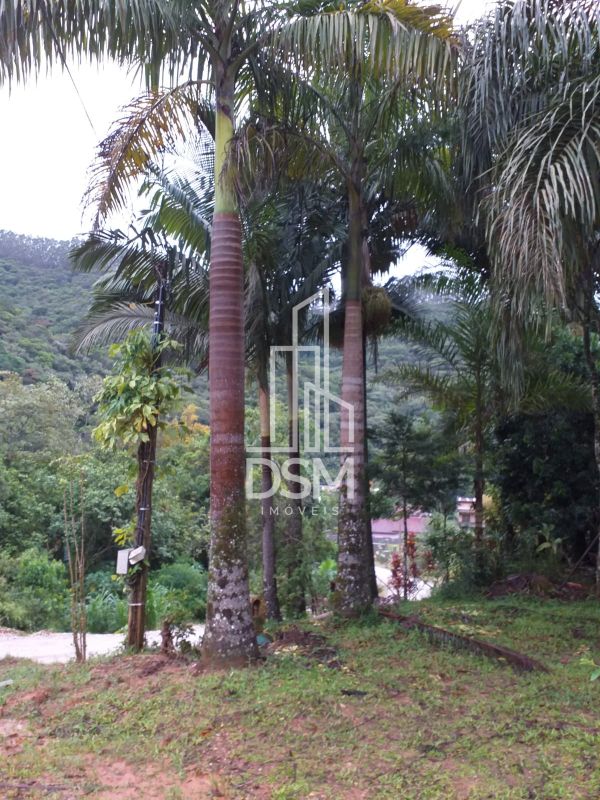 Chácara (sitio) 55.450m² a venda Cedro Grande