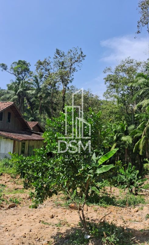 chácara (sitio) a venda na Guabiruba