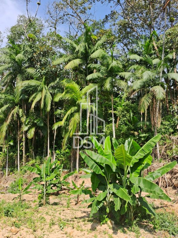 Chácara de 2 quartos, 24492m² | Eu Corretor