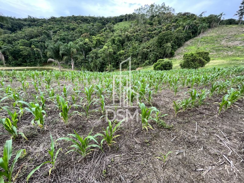 Terreno 2.700m² a venda Bairro Cedro Alto