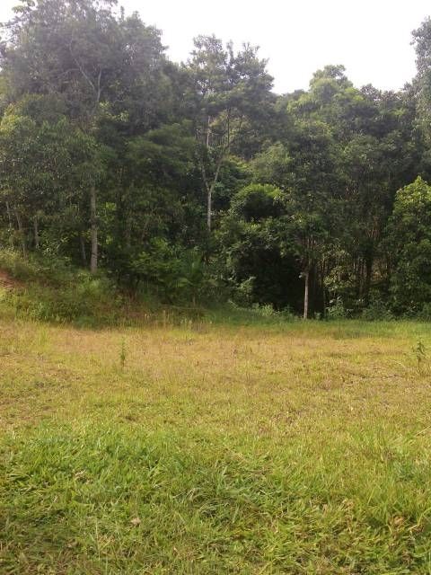 Sítio no Moura -Canelinha