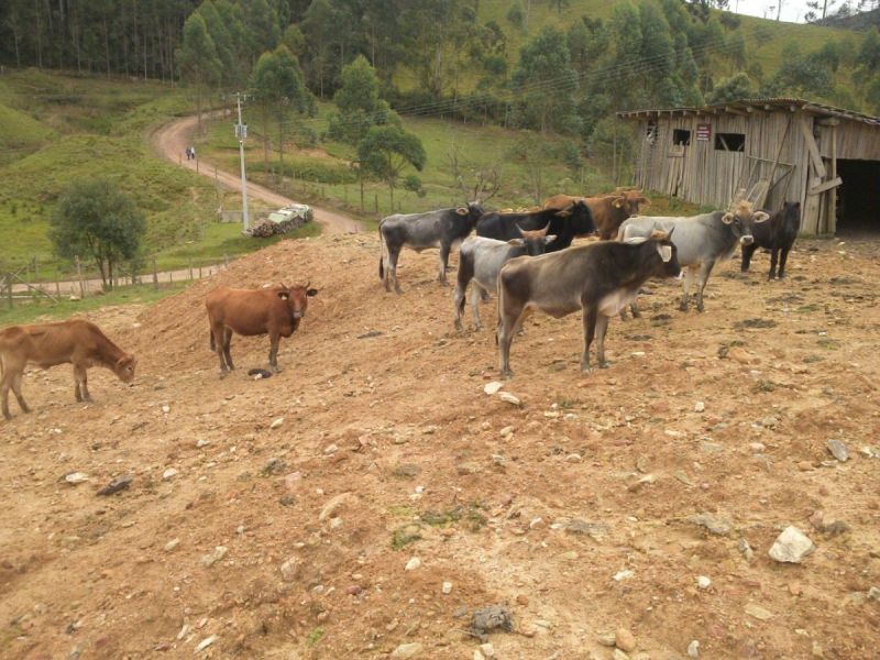 SITIO EM PINHERAL COM ESCRITURA