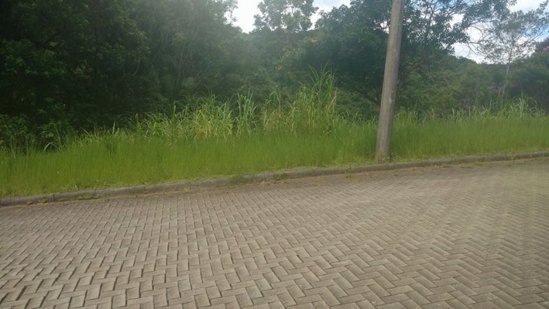 TERRENO - SOUZA CRUZ