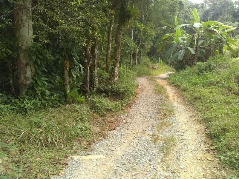 CHÁCARA 