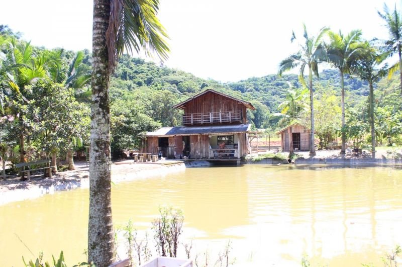 Chácara com ampla casa em Guabiruba! 