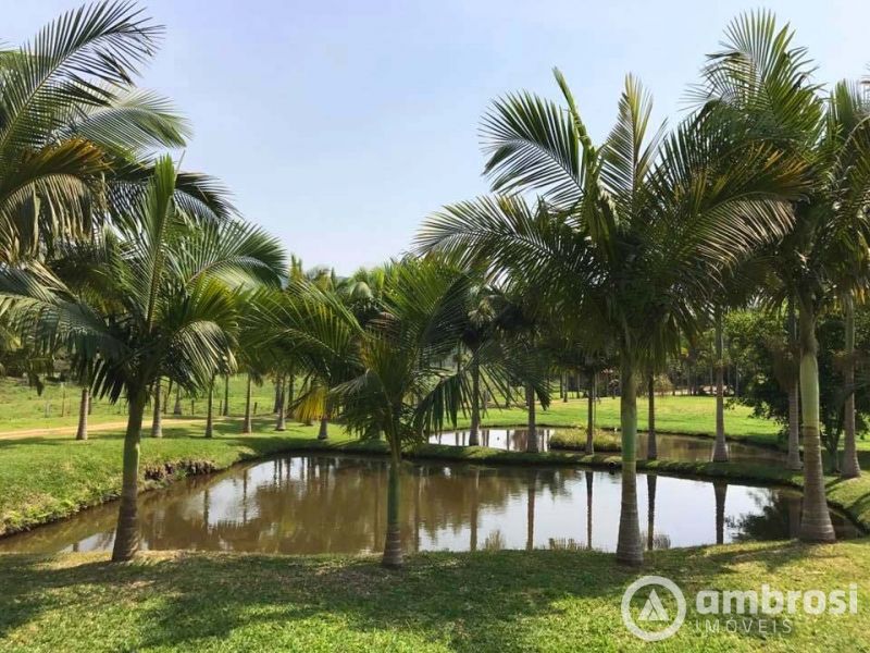 Lindo Sitio em Camboriú 100% Plano -  Aceita 50% do valor em permuta 