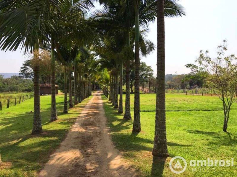 Lindo Sitio em Camboriú 100% Plano -  Aceita 50% do valor em permuta 