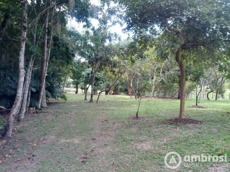 Lindo Sitio em Camboriú 100% Plano -  Aceita 50% do valor em permuta 