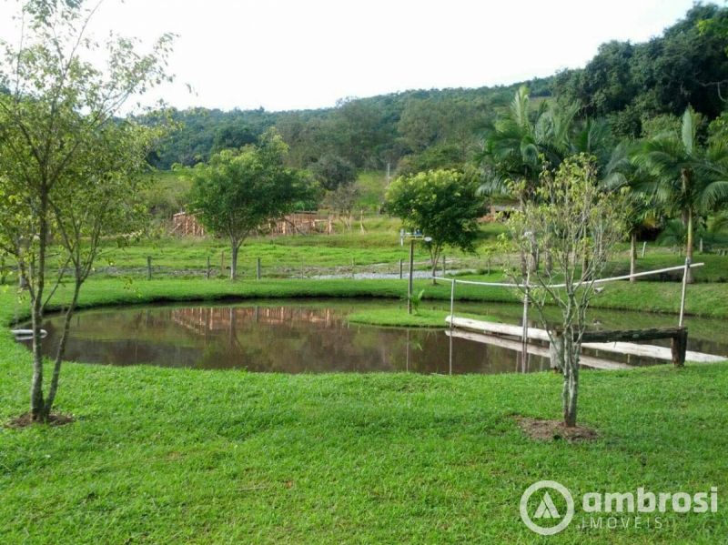 Lindo Sitio em Camboriú 100% Plano -  Aceita 50% do valor em permuta 