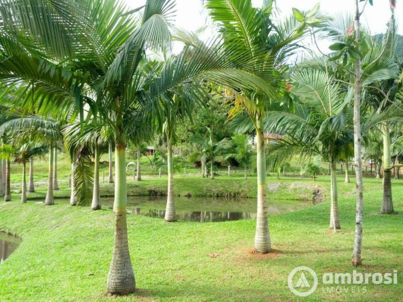 Lindo Sitio em Camboriú 100% Plano -  Aceita 50% do valor em permuta 