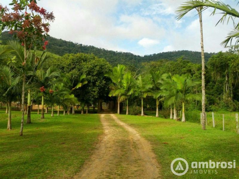 Lindo Sitio em Camboriú 100% Plano -  Aceita 50% do valor em permuta 