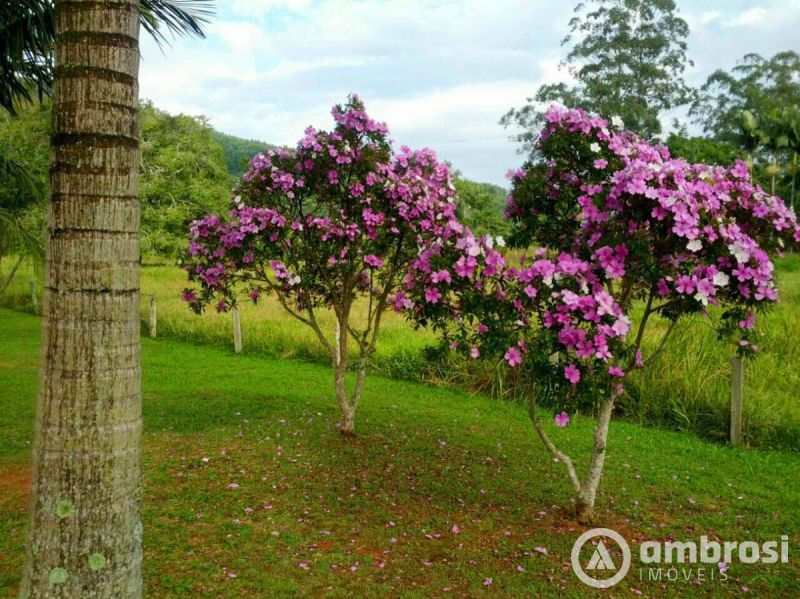 Lindo Sitio em Camboriú 100% Plano -  Aceita 50% do valor em permuta 