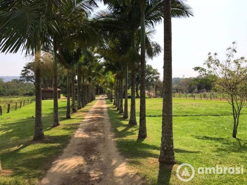 Lindo Sitio em Camboriú 100% Plano -  Aceita 50% do valor em permuta 