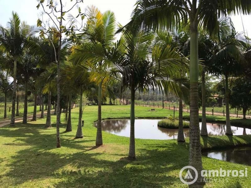 Lindo Sitio em Camboriú 100% Plano -  Aceita 50% do valor em permuta 
