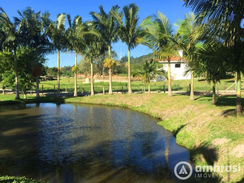 Lindo Sitio em Camboriú 100% Plano -  Aceita 50% do valor em permuta 
