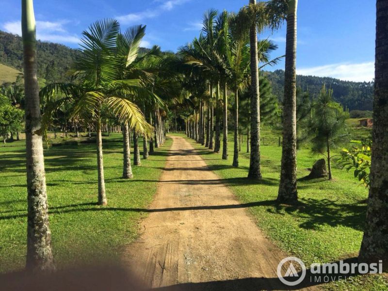 Lindo Sitio em Camboriú 100% Plano -  Aceita 50% do valor em permuta 