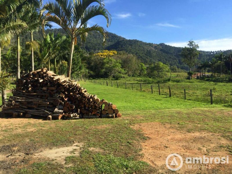Lindo Sitio em Camboriú 100% Plano -  Aceita 50% do valor em permuta 