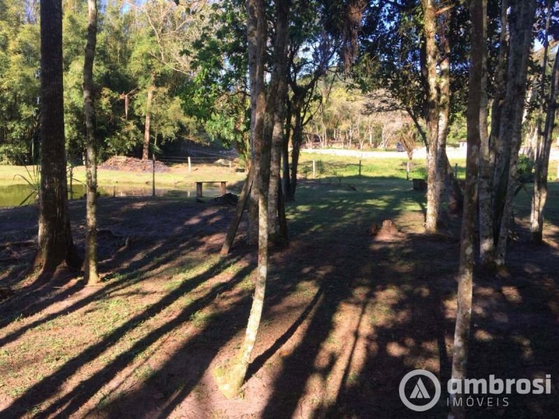 Lindo Sitio em Camboriú 100% Plano -  Aceita 50% do valor em permuta 
