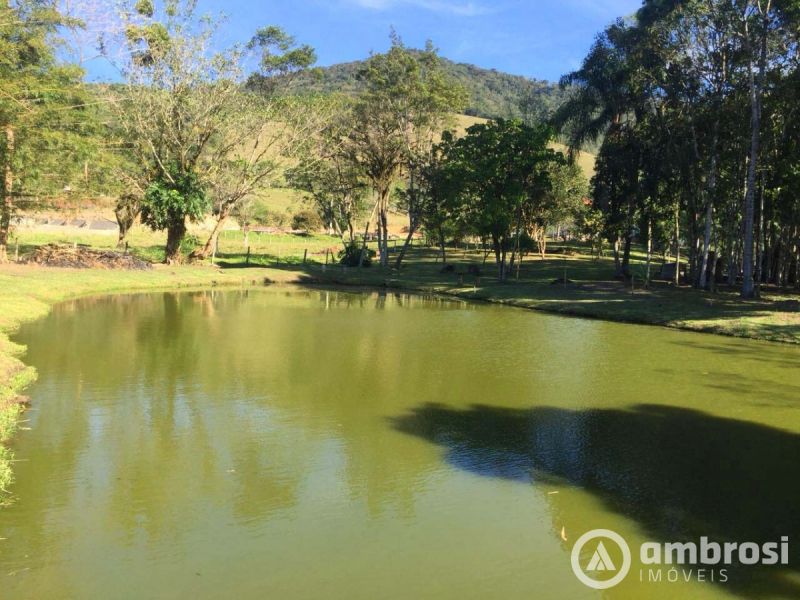 Lindo Sitio em Camboriú 100% Plano -  Aceita 50% do valor em permuta 