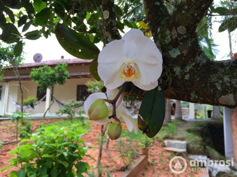 Lindo Sitio em Camboriú 100% Plano -  Aceita 50% do valor em permuta 