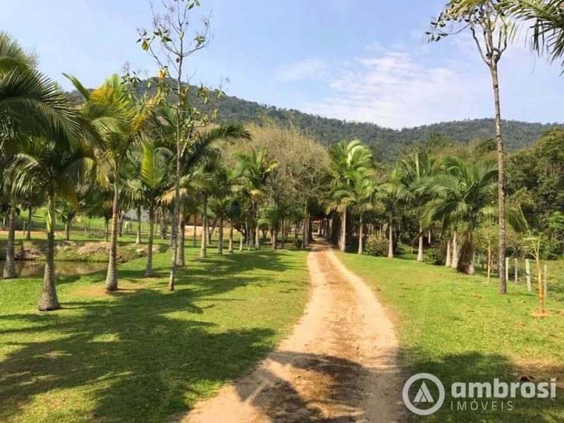 Lindo Sitio em Camboriú 100% Plano -  Aceita 50% do valor em permuta 