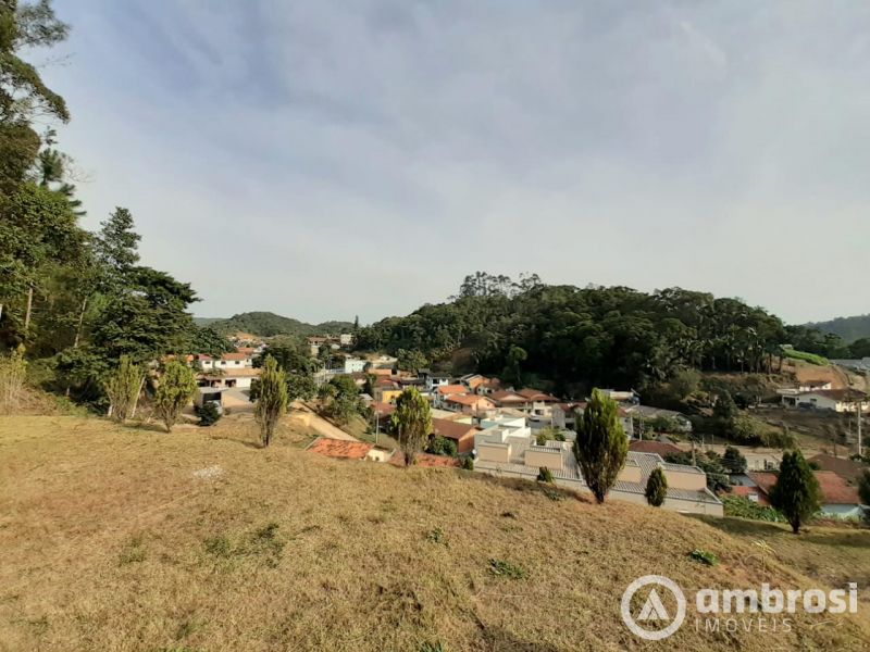 Amplo  terreno com 6.795,83 m²