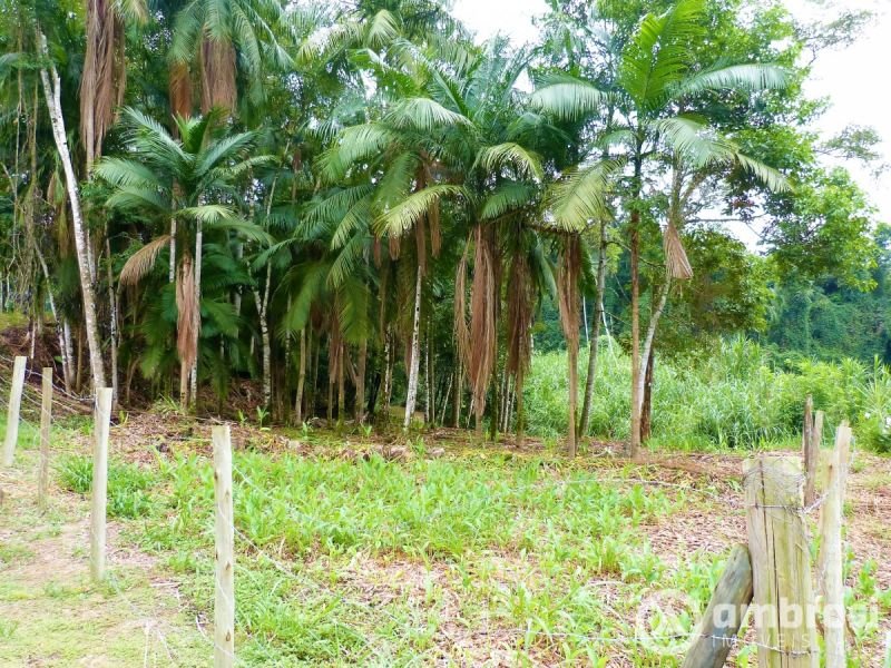 Amplo terreno pra chácara no Centro de Guabiruba - Escriturado