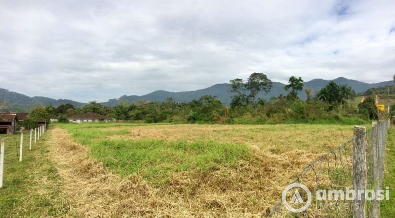 Amplo terreno em Guabiruba - 7.700,00M² - 100% plano - Escriturado