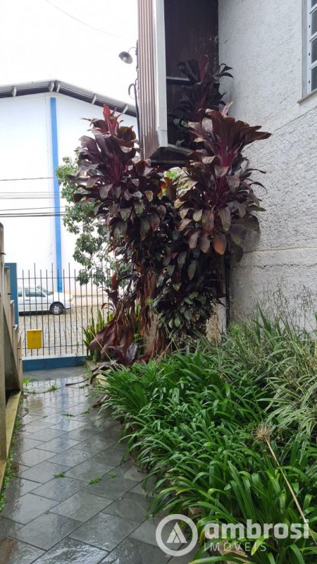 Casa de 380m² no bairro São Luiz, em Brusque | Eu Corretor
