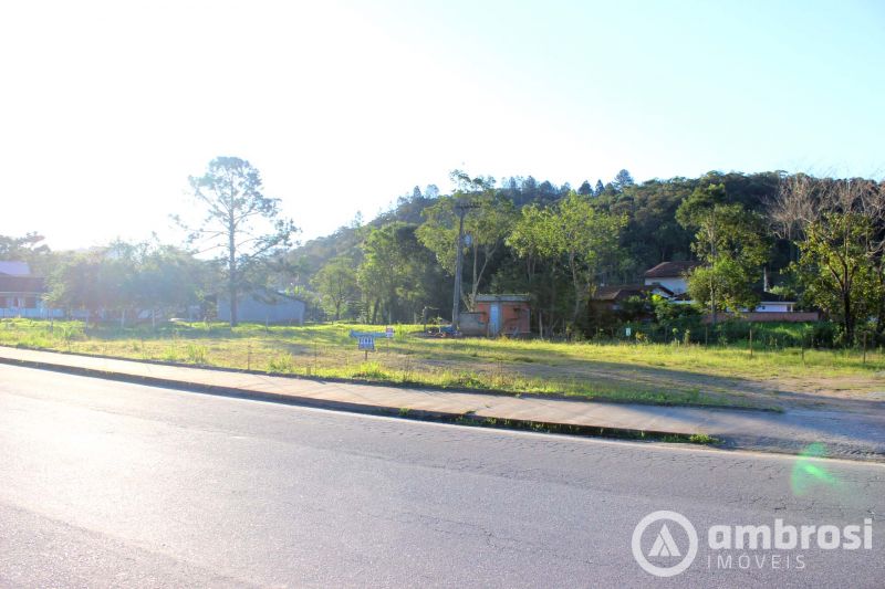 Ótimo Terreno 100% Plano em Guabiruba - ESCRITURADO! Estuda propostas