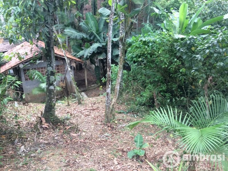 Casa de 4 quartos, 270m² no bairro Souza Cruz, em Brusque | Eu Corretor