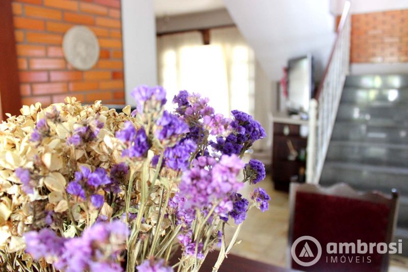 CASA  4 SUITES - CENTRO GUABIRUBA 