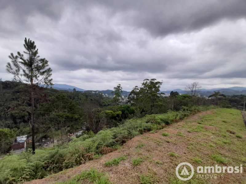Amplo terreno em loteamento Alto Padrão