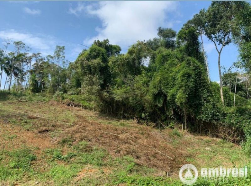  Terreno bairro Jardim Maluche 585m²