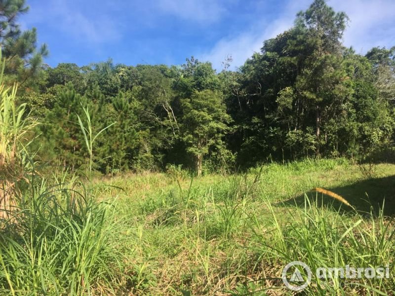 TERRENO BONITO EM GUABIRUBA SUL