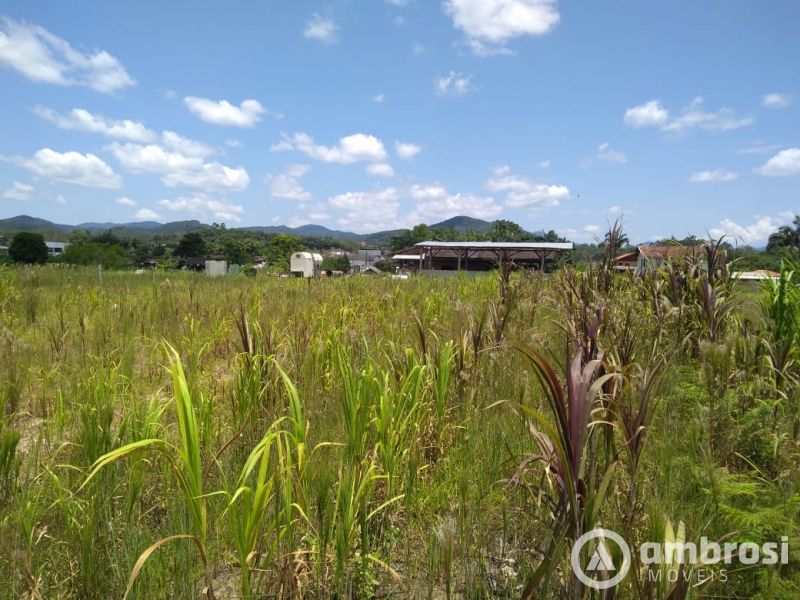 Lote/Terreno de 27300m² no bairro Bateas, em Brusque | Eu Corretor