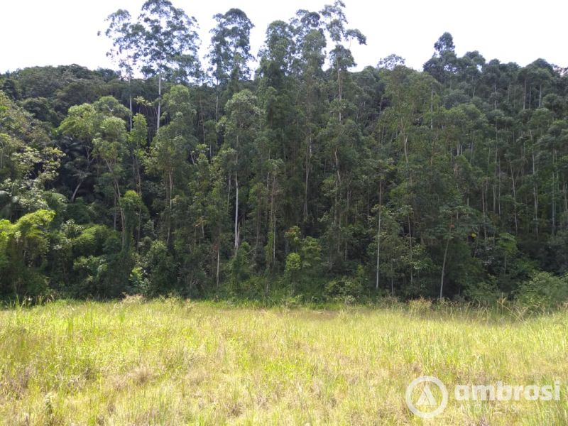 Terreno Industrial com Mais de 27 mil m²