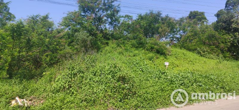 Terreno Loteamento Paris - Travessa Dom Joaquim