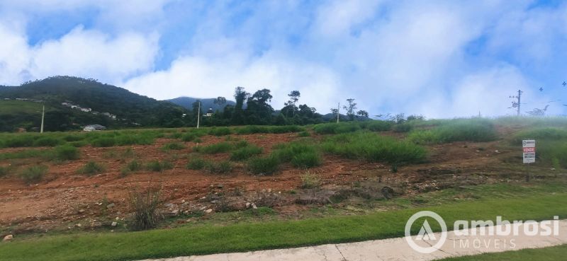 Jardim das Hortênsias Perto do Verde Longe do Stress  