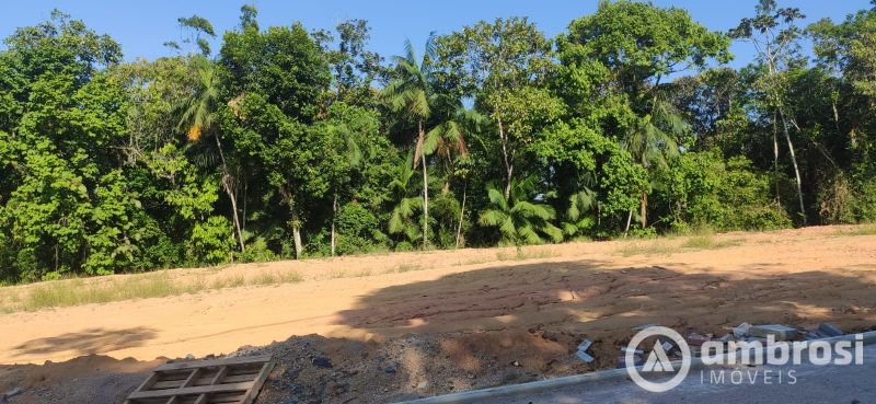 Lote/Terreno de 463m² no bairro Centro, em Guabiruba | Eu Corretor
