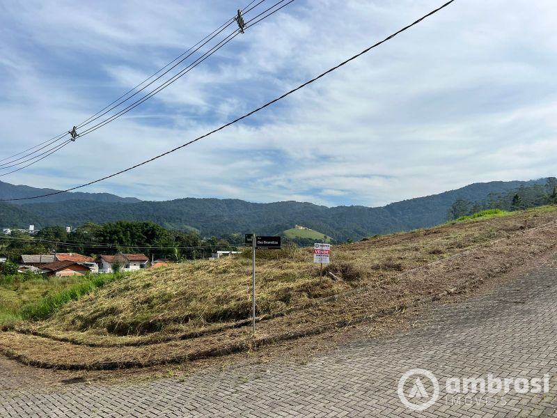 Terrenos bairro Pomerânea, parcelamento direto com o proprietário