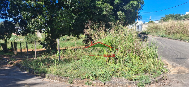 VENDO LOTE BAIRRO COLORADO