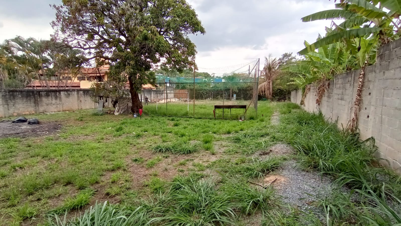 LOTE | FLEMING